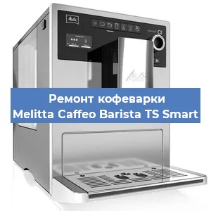 Замена ТЭНа на кофемашине Melitta Caffeo Barista TS Smart в Белгороде